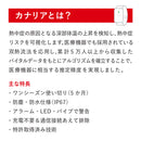 【10本セット・ケース付】熱中対策ウォッチ　カナリアPlus　2026年モデル