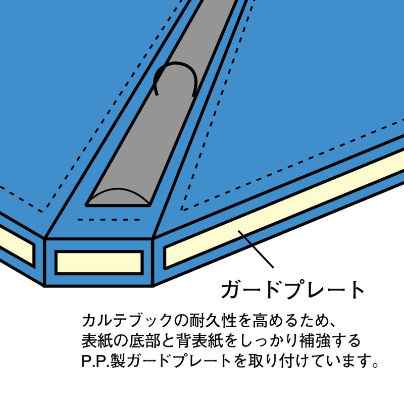 カルテブック＜スタンダード＞ CY4-30L Ａ４ ３０穴
