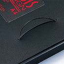 アシス・ケースファイル