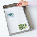 Ｒｏｏｍｙ　デスクトレー　A4ワイド