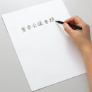 紙製ホルダー（５０枚パック）