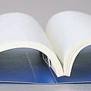 スナッチファイル