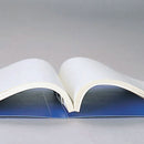 スナッチファイル