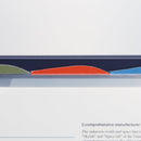 ALTNA スタンドホルダー