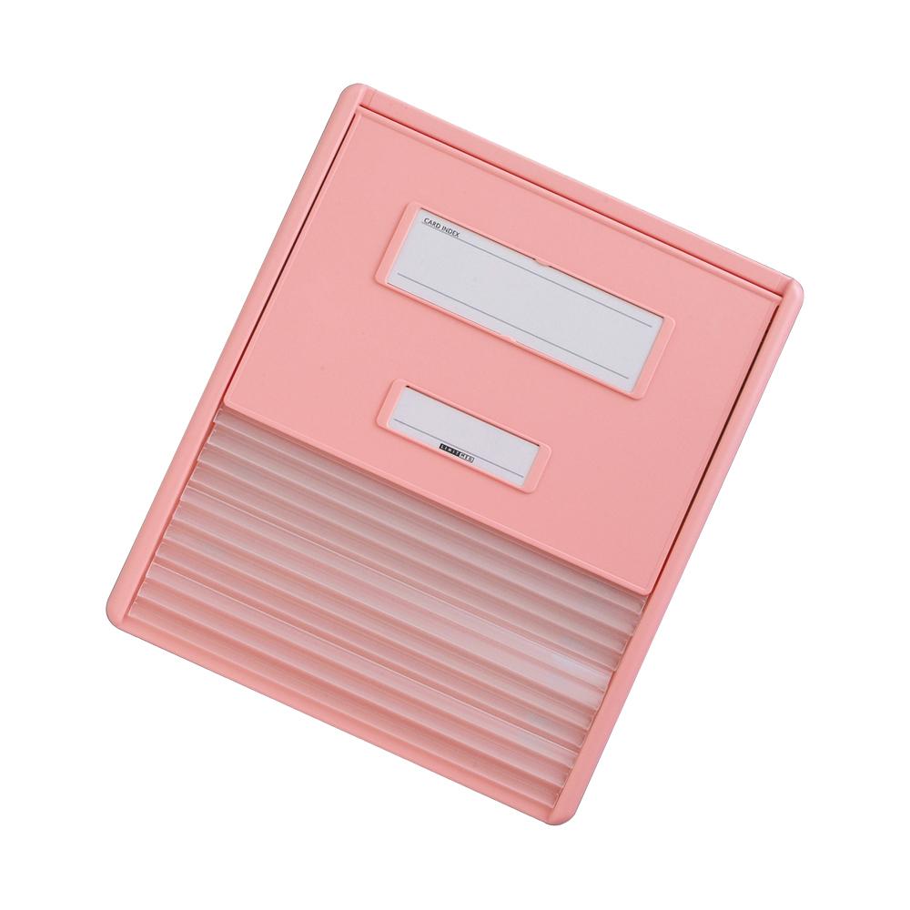 リヒトラブ カラーカードインデックス A4 HC111C-2 2個セット カラーカードインデックス A4 HC111C