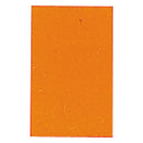 カラーシグナルＬ (50枚入り)