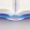 クリヤーブック・ルポ＜ＳＥＩＨＯＮ＞